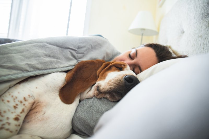 how is sleep apnea in dogs treated